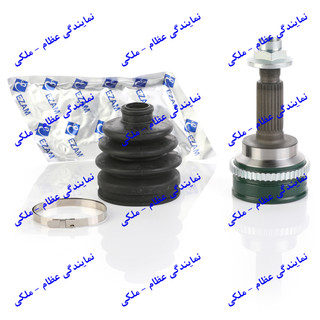 سرچرخ تیبا عظام